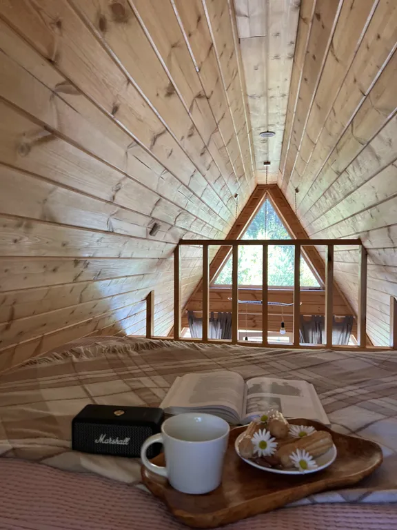 Уютный треугольный дом в окружении леса