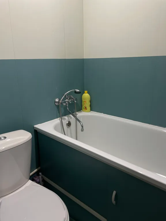 Уютная однокомнатная квартира на 4 гостя