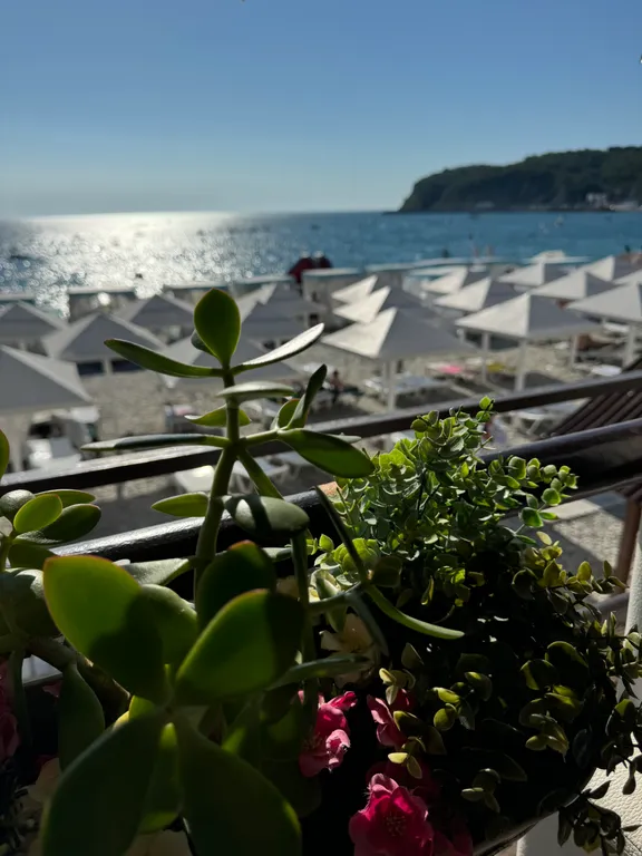 Эко квартира на море с большим балконом