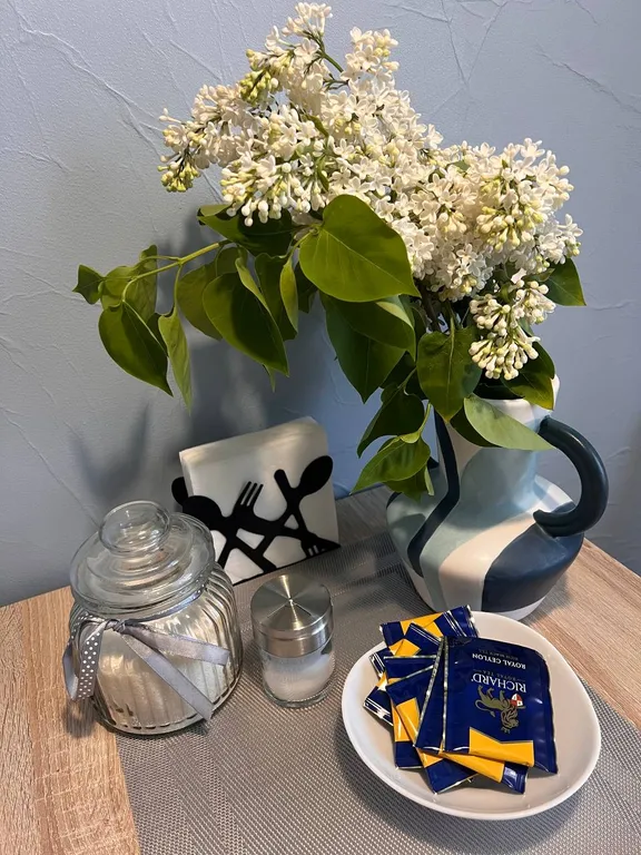 Стильная квартира около клиники МНТК Микрохирургии глаза