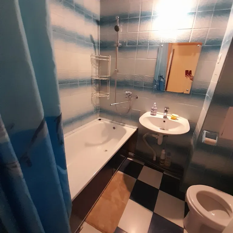 Однокомнатная квартира по типу евродвушки