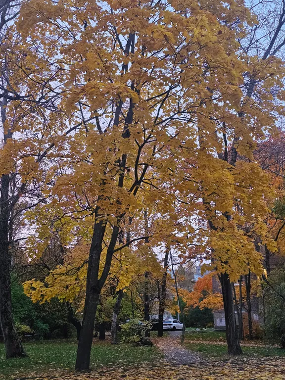 Светлая однокомнатная квартира возле реабилитации