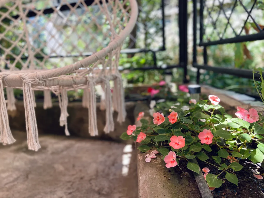 Светлая студия с двориком и парковкой