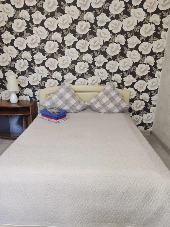 Квартира в центре города — аренда посуточно в Великие Луки