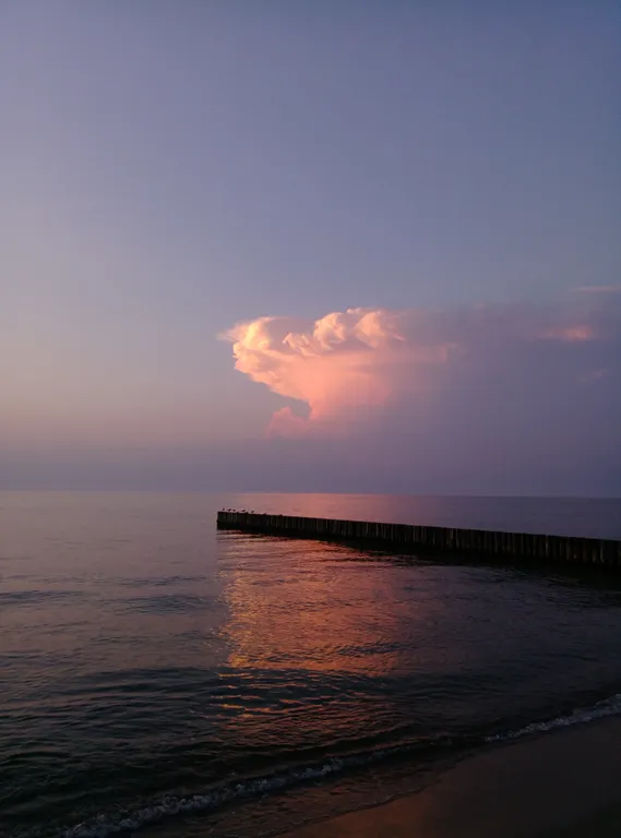 Уютная квартира у моря с сосновым бором