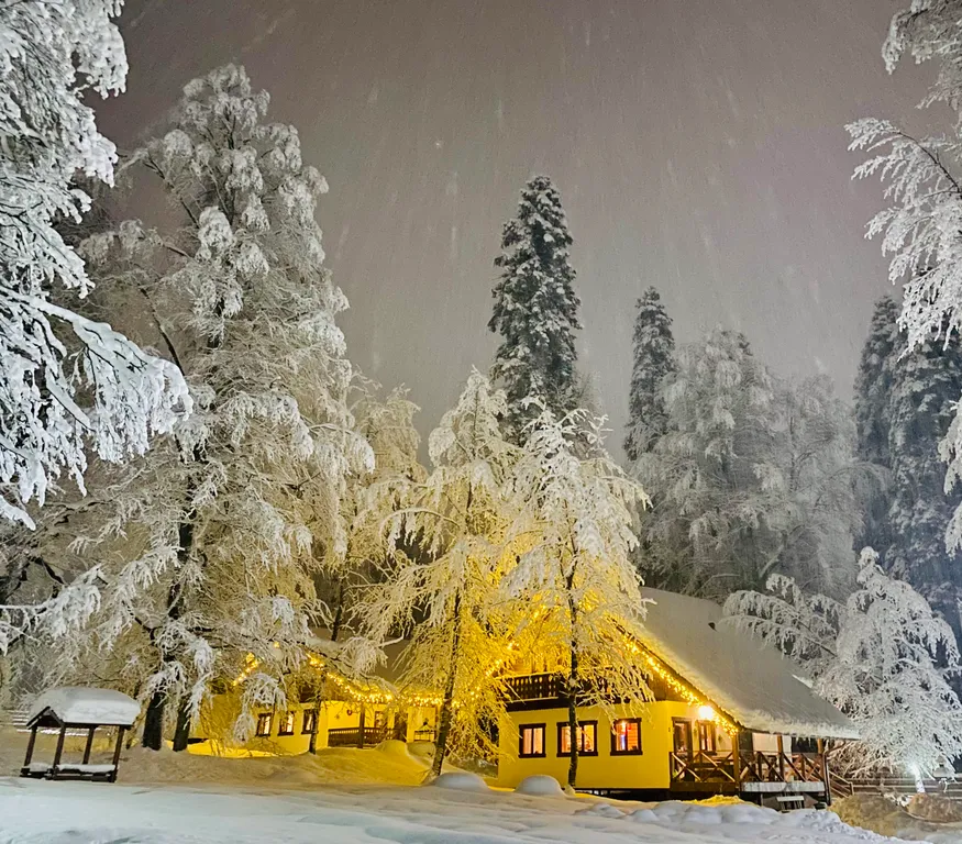 4-комнатный Дом