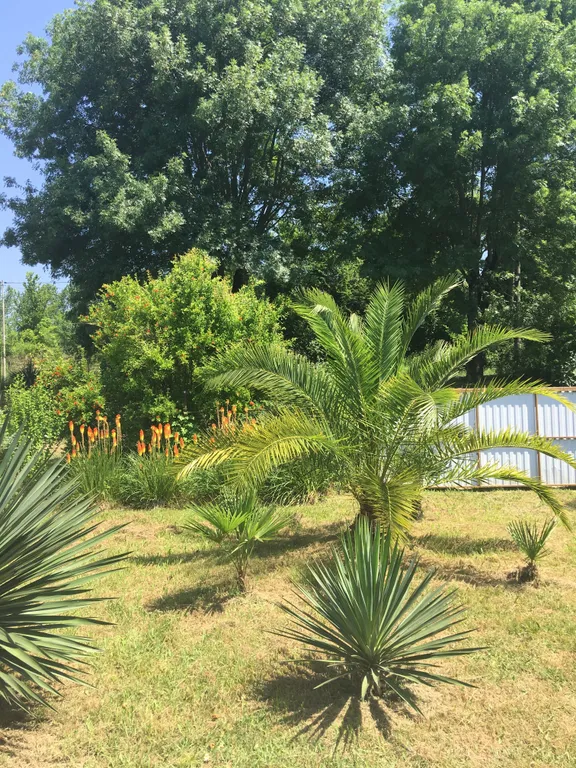 Вилла с парком под ключ