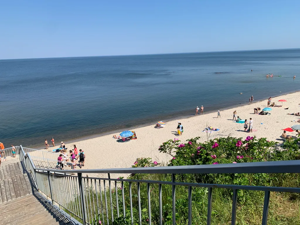 Дом у моря в сосновом бору