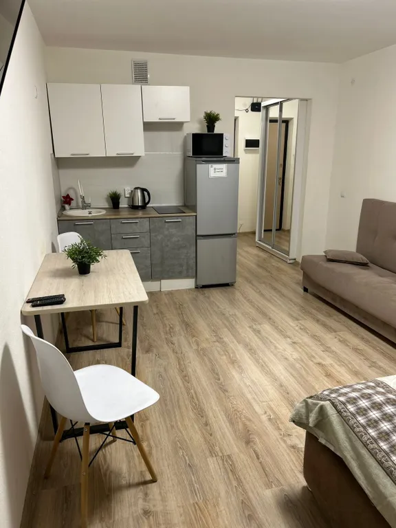 Апартаменты DreamHouse у Аэропорта