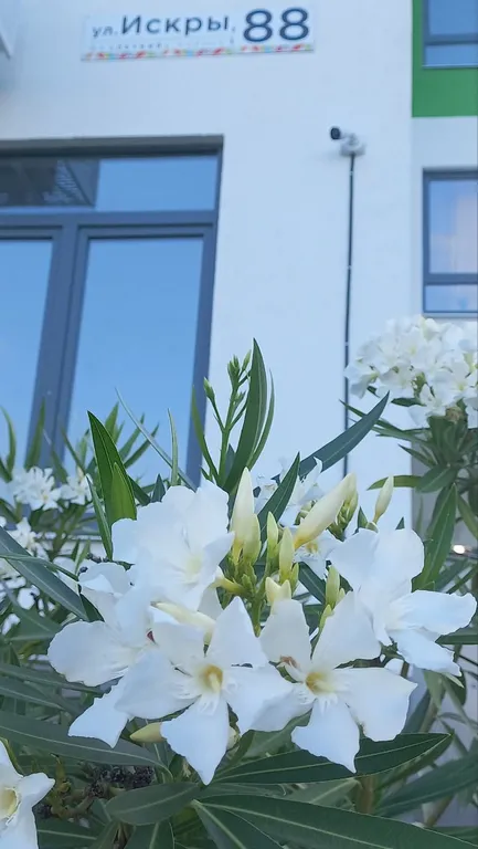 Студия Теплый песок в новом ЖК Летний