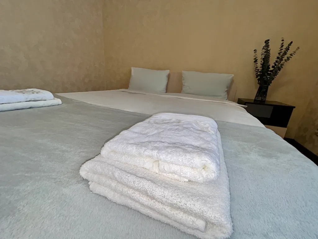 Просторная квартира в центре города с парковкой