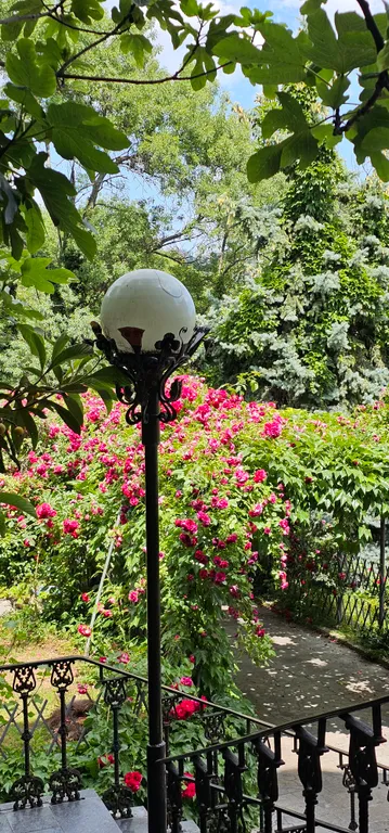 Солнце Ялты