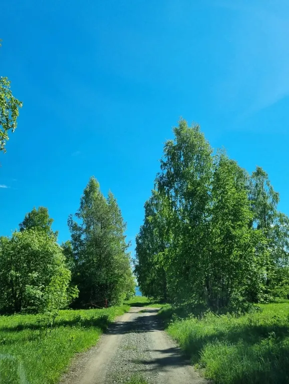 Уютный дом на берегу озера "Прозрачный берег №1"