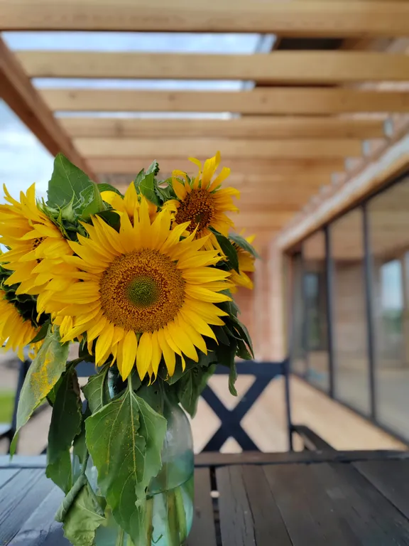 Дом для загородного отдыха