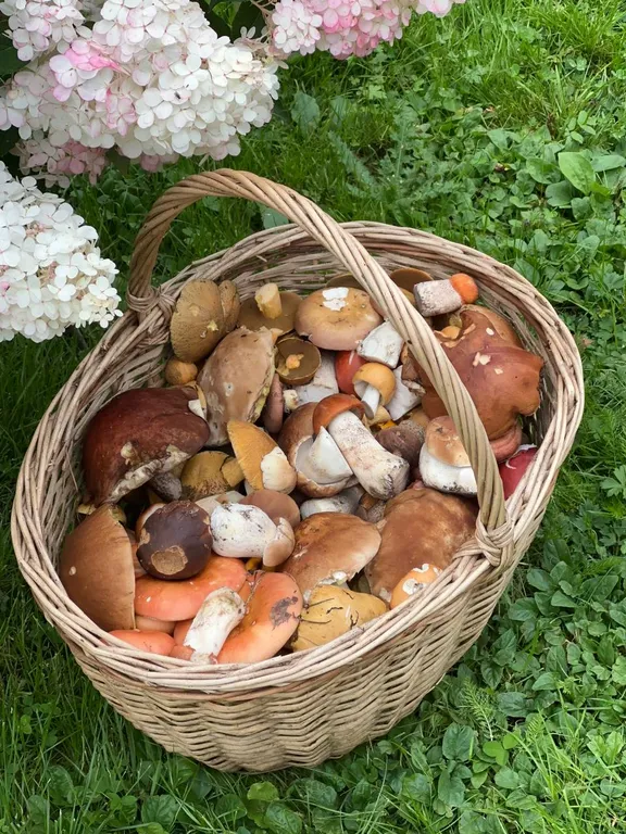 Дом на берегу озера