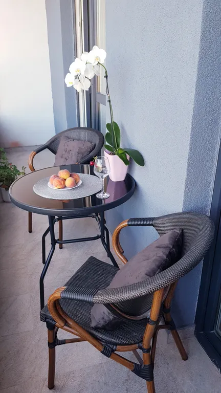 Уютная квартира с видом на лес в центре Светлогорска-2