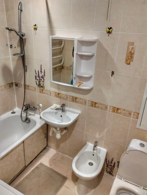 Фрунзенская, Стелла