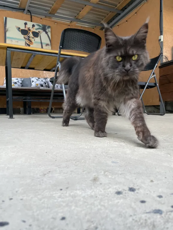 Спокойный отдых