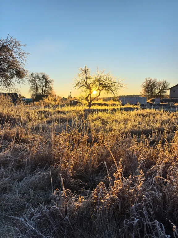 Домик-музей в Беловежской Пуще Беловежская светлица с печью и огнем
