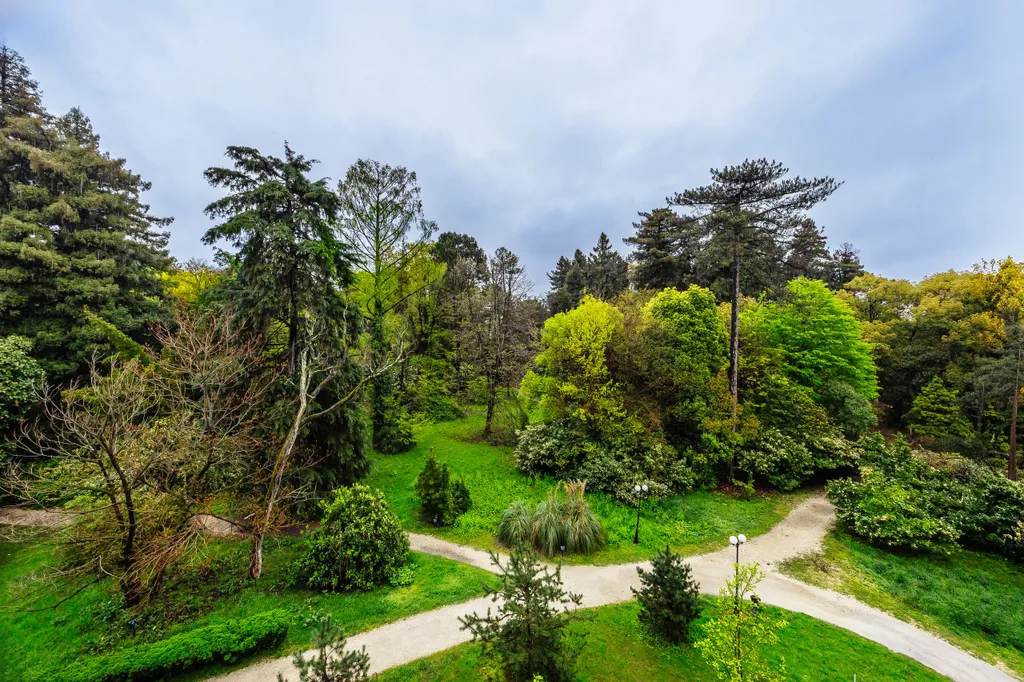 Квартира 1-комнатная Квартира — Сириус