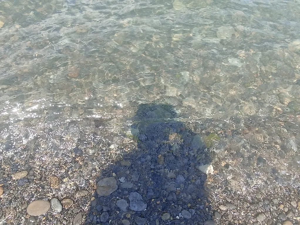 Комфортная квартира у чистого моря