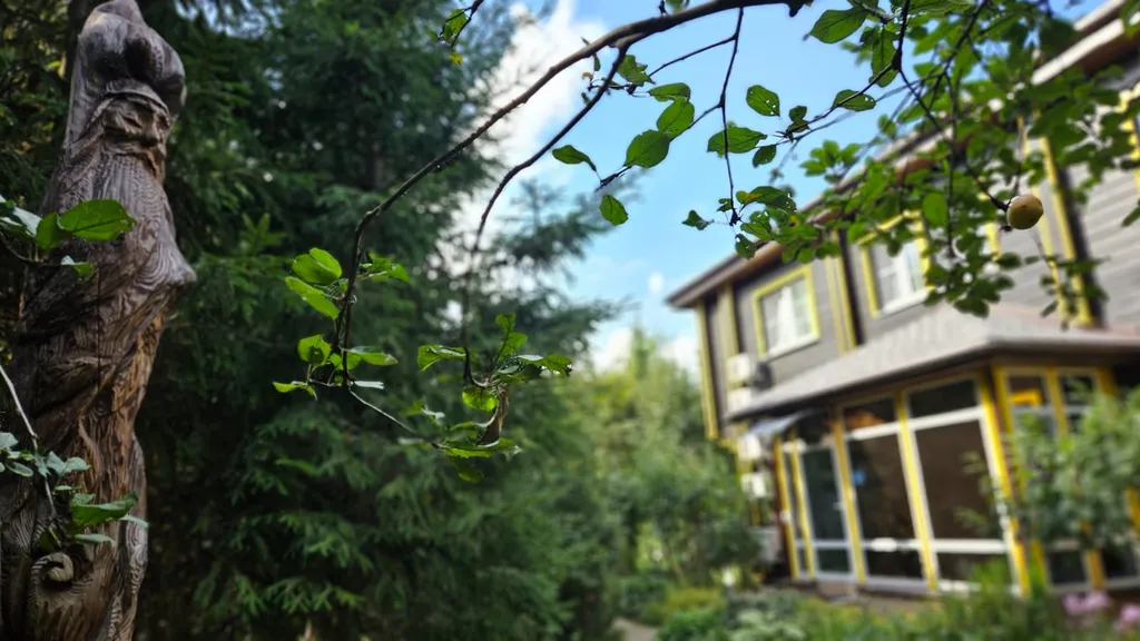 Дом улучшенный