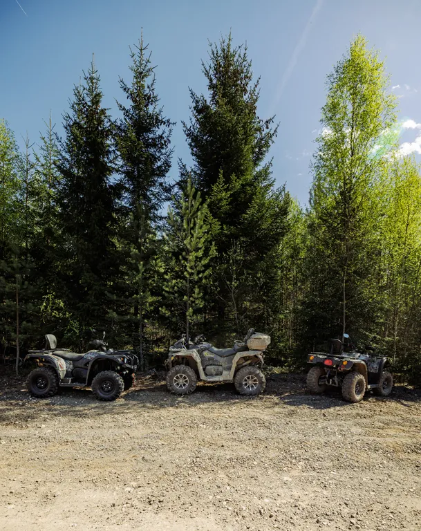 Вилла М с видом на вековой лес