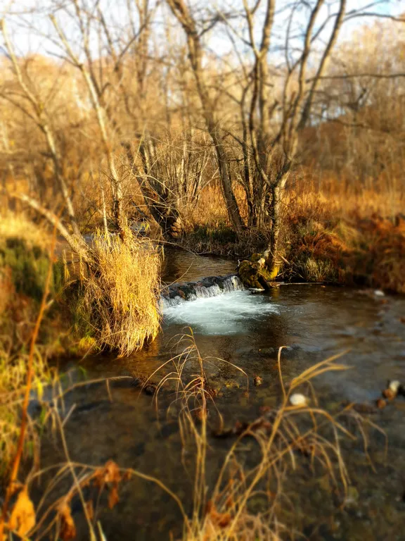Уютный дом с сауной на первом этаже, в черте города у ручья