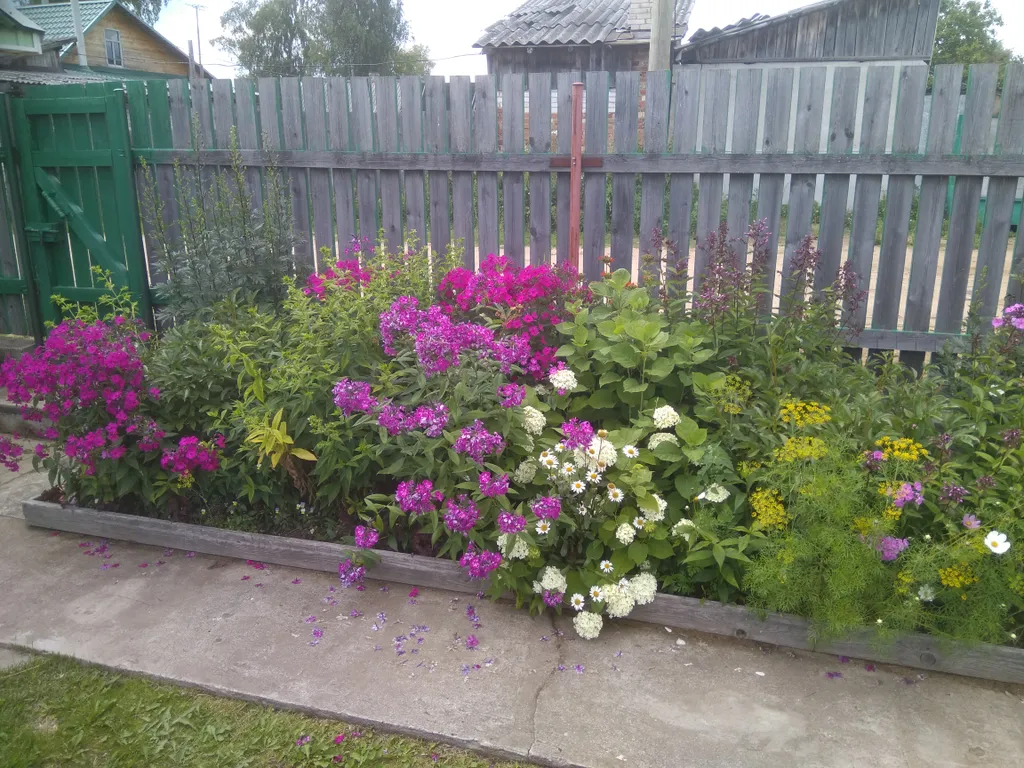 Квартира Комфорт — Лодейное Поле