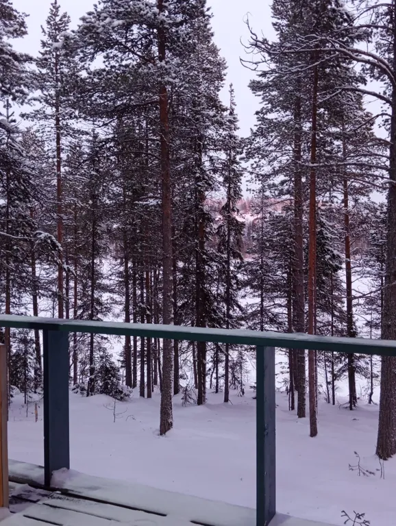 Уединенный коттедж на берегу Северного моря