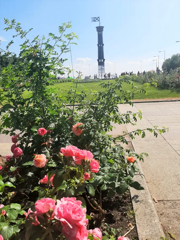 Lakhta classic orange apartments видовая квартира с кондиционером