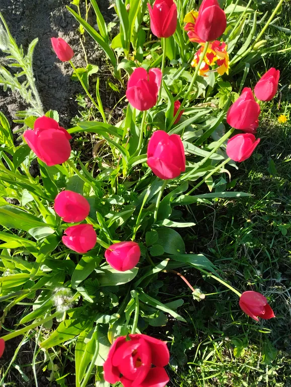 Уютная и тихая квартира в центре города — аренда посуточно в Калининград