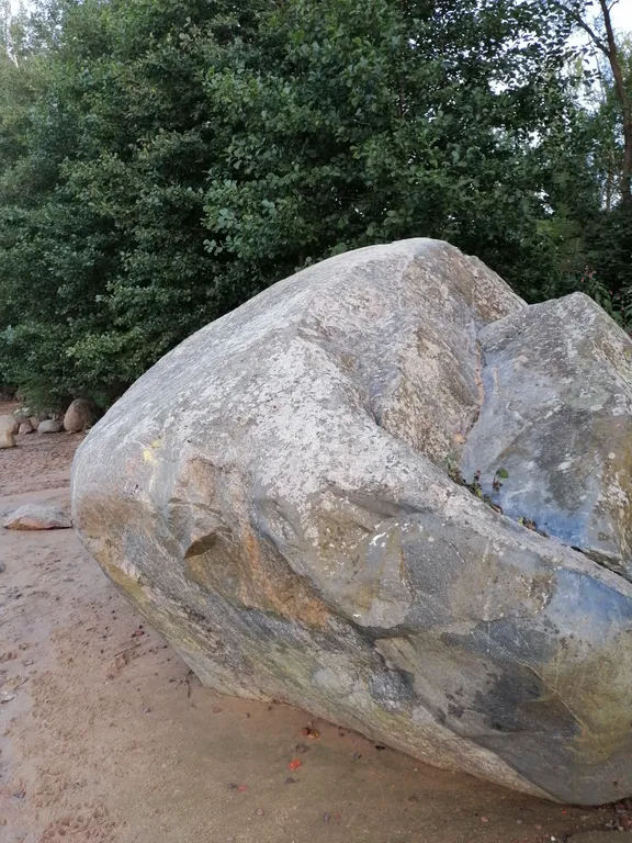 Квартира Уютная комната в доме Счастья — Ломоносов