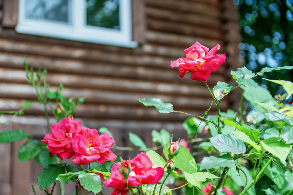 Коттедж 2-комнатный Дом — Казачий Брод