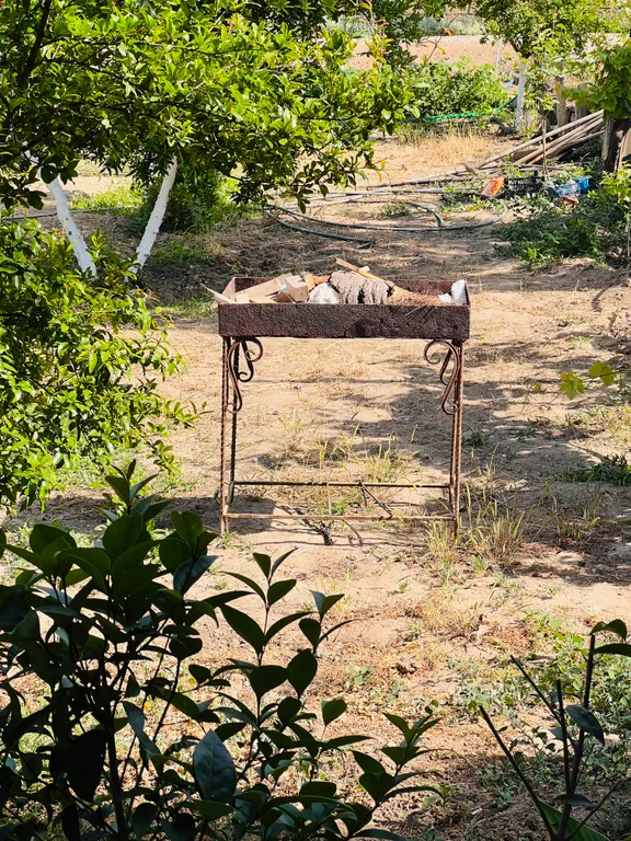 Домик с красивым двором