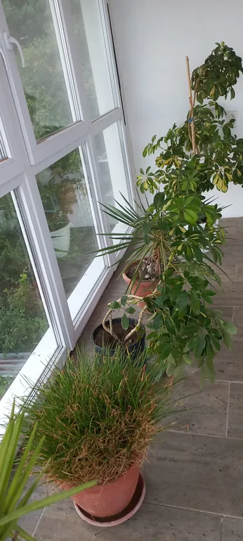 Студия с панорамным видом