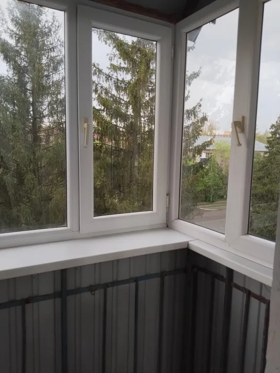 Квартира с видом на ели