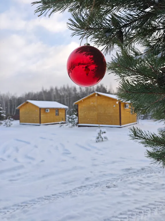 Дом с видом на лес Дача садовника