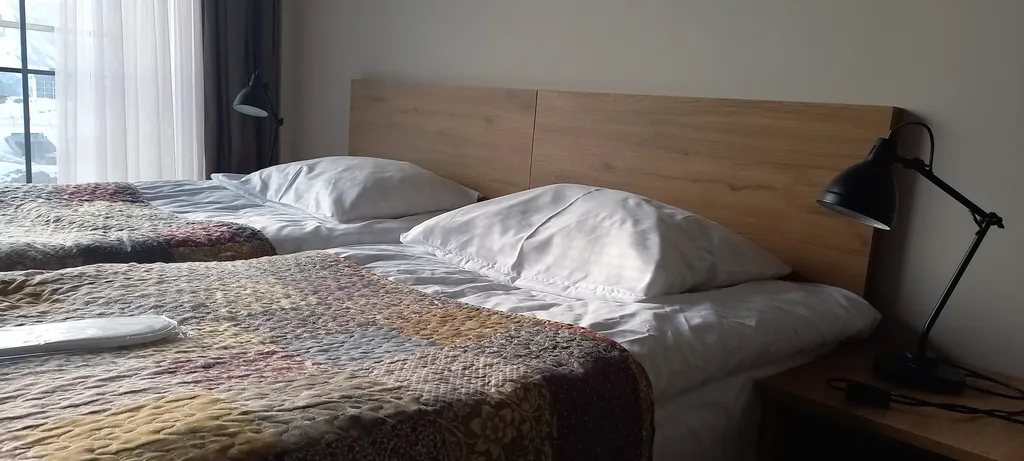 Redco Alpic 312 New Gudauri, Ziggy apartment