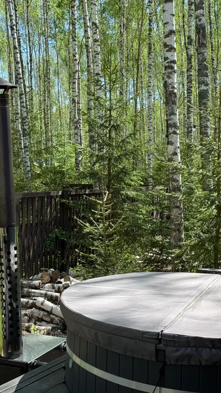 Коттедж Панорамный дом в окружении леса с сауной и чаном — Семеновское