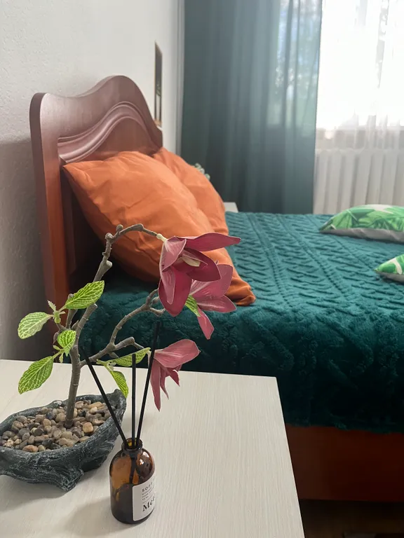 Однокомнатная квартира в центре города