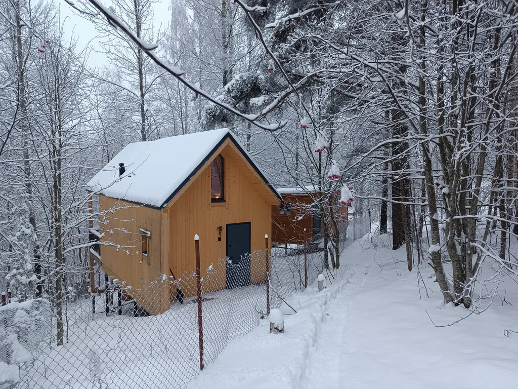 Коттедж Уютный дом в лесу — Орехово