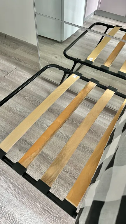 Уютная студия в лесной зоне