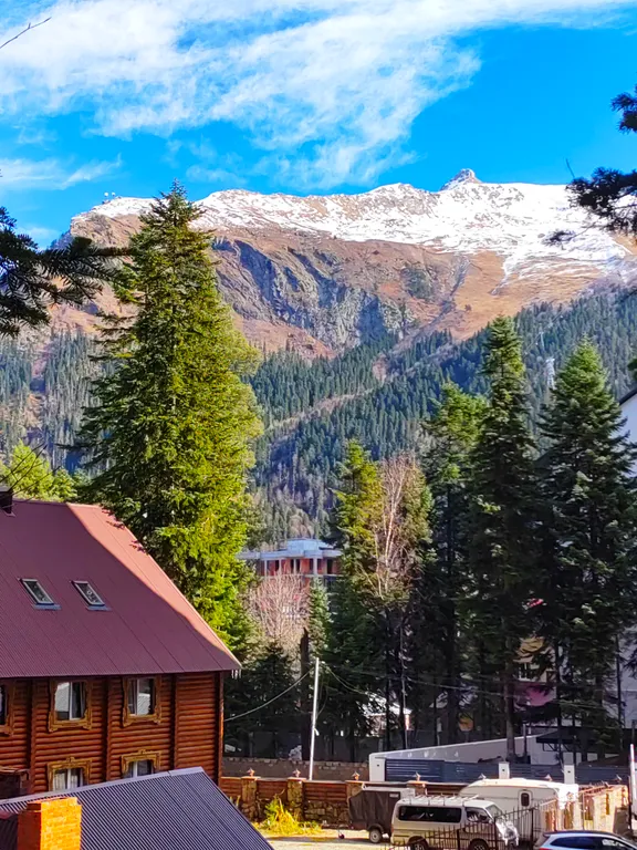 Уютный домик в лесу