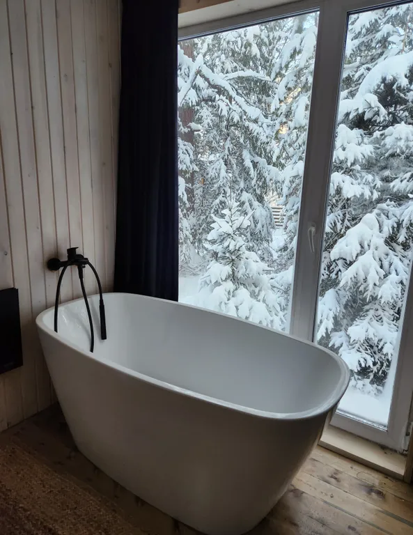 Дом в лесу с панорамным видом