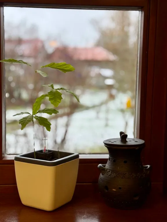 Большой дом у реки с баней в 2 часах от СПб