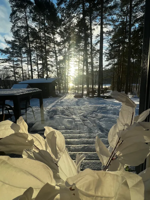 Стильный дом на берегу Ладожского озера с панорамным видом