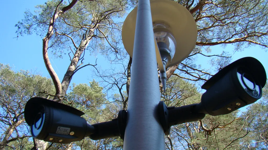 Квартира Квартира В Гостях у Зверяток — Светлогорск