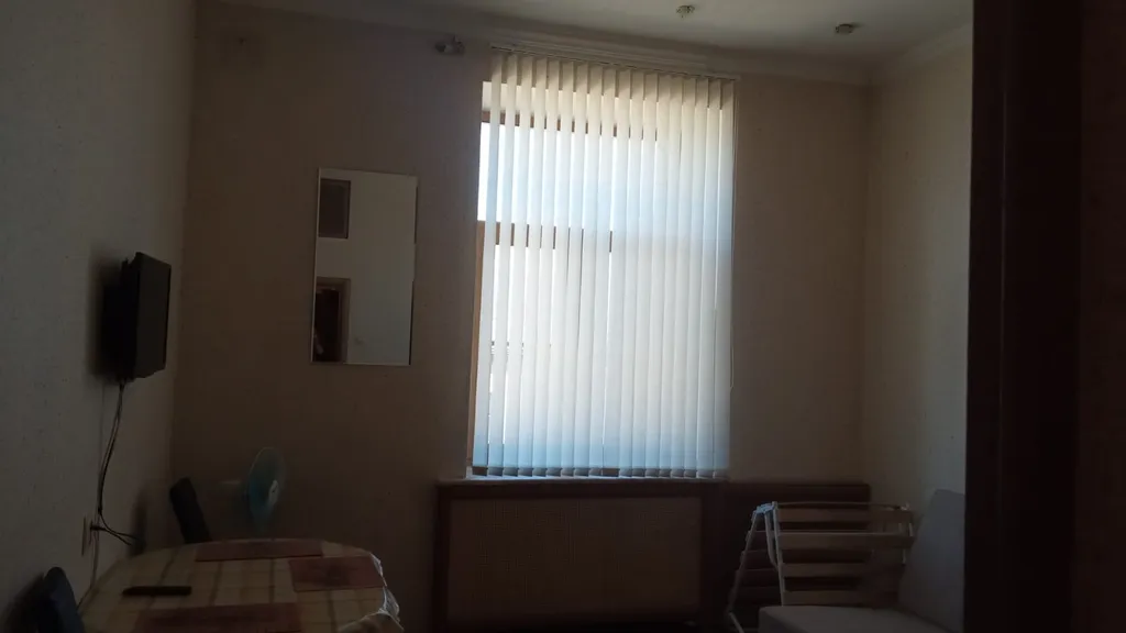 Уютная студия в Толстовском доме