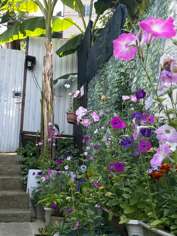 Апартаменты «Gold» с видом на горы